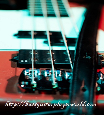 vintage bass lessons for new players